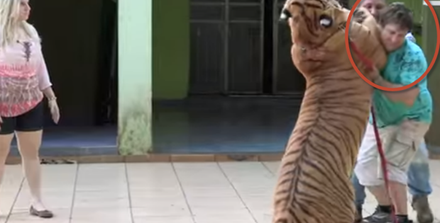 brazilian-family-owns-seven-tigers